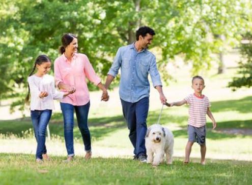 Règles d'or pour vivre avec un chien