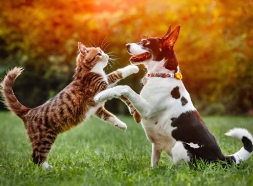 Mise en contact progressive