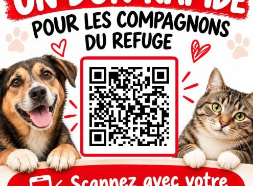 Vous souhaitez nous aider?