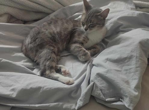 Mia