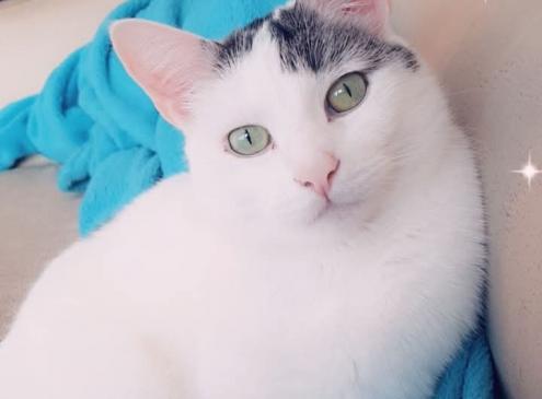 Jack