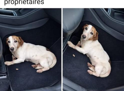 Zorka