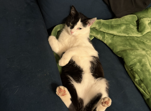 Mia 