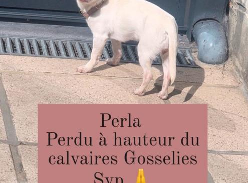 Perla