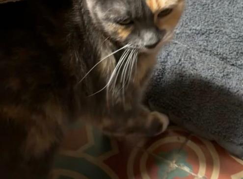 Sally