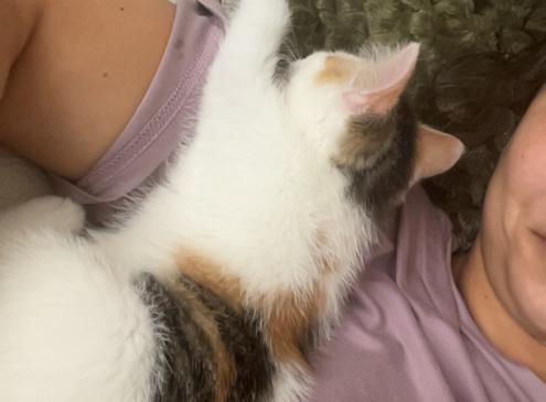 Nala Carelli