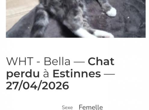 Bella