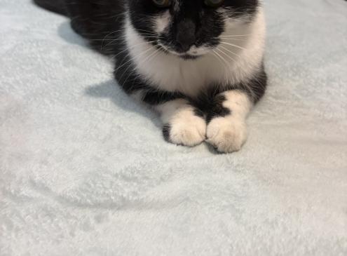 Kiki