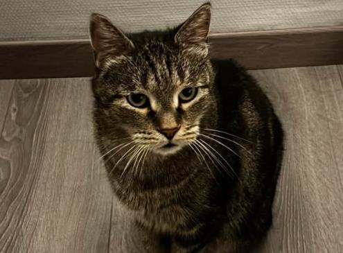  Lenny