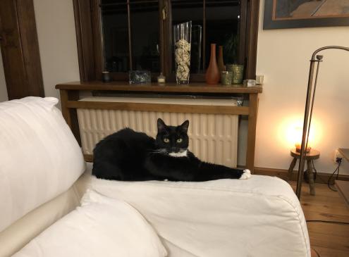 Nina