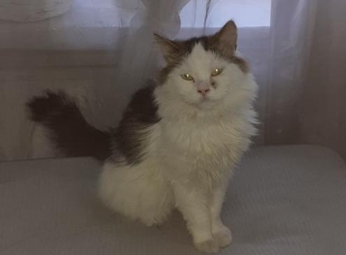 Milo