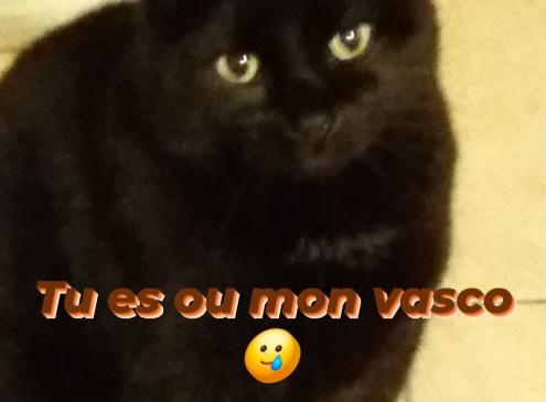 Vasco