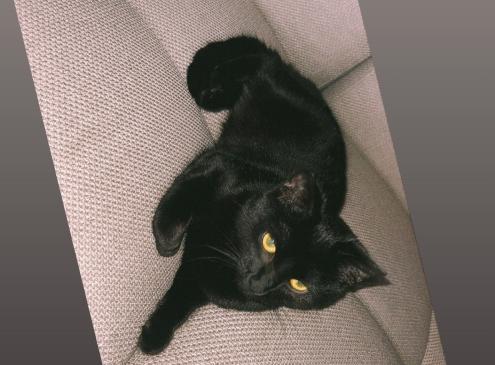 Nina 
