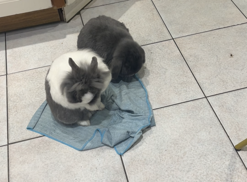Giorgia et Gianni 