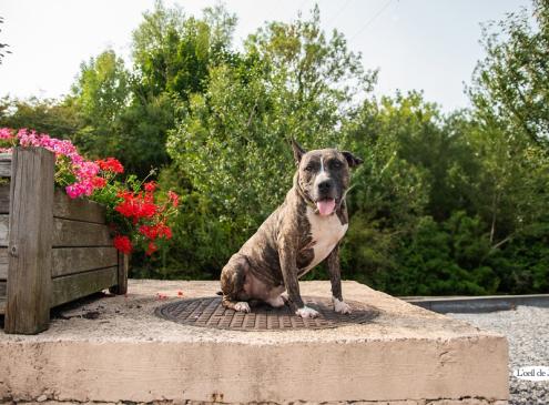 Tyson