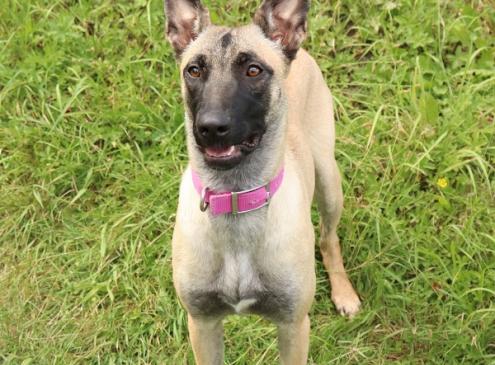 Lena
